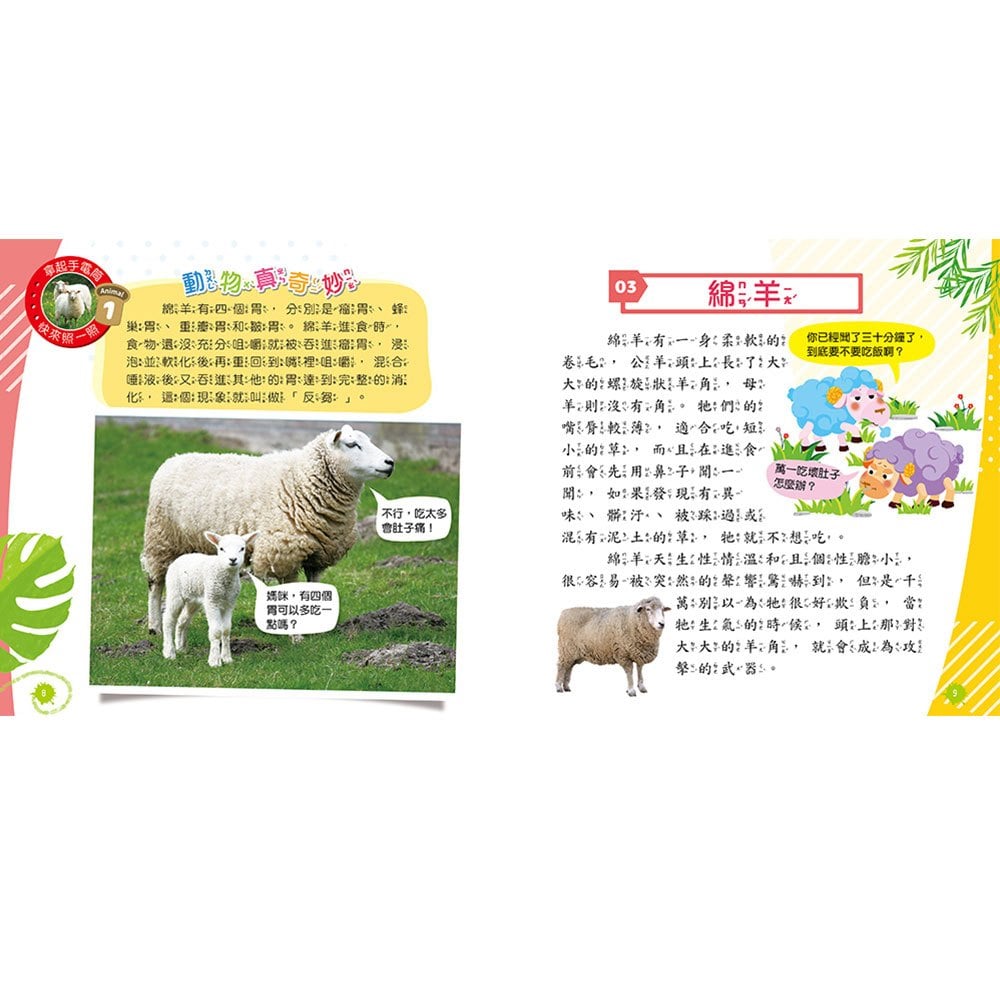 忍者兔魔法投影手電筒：奇妙動物百科圖鑑