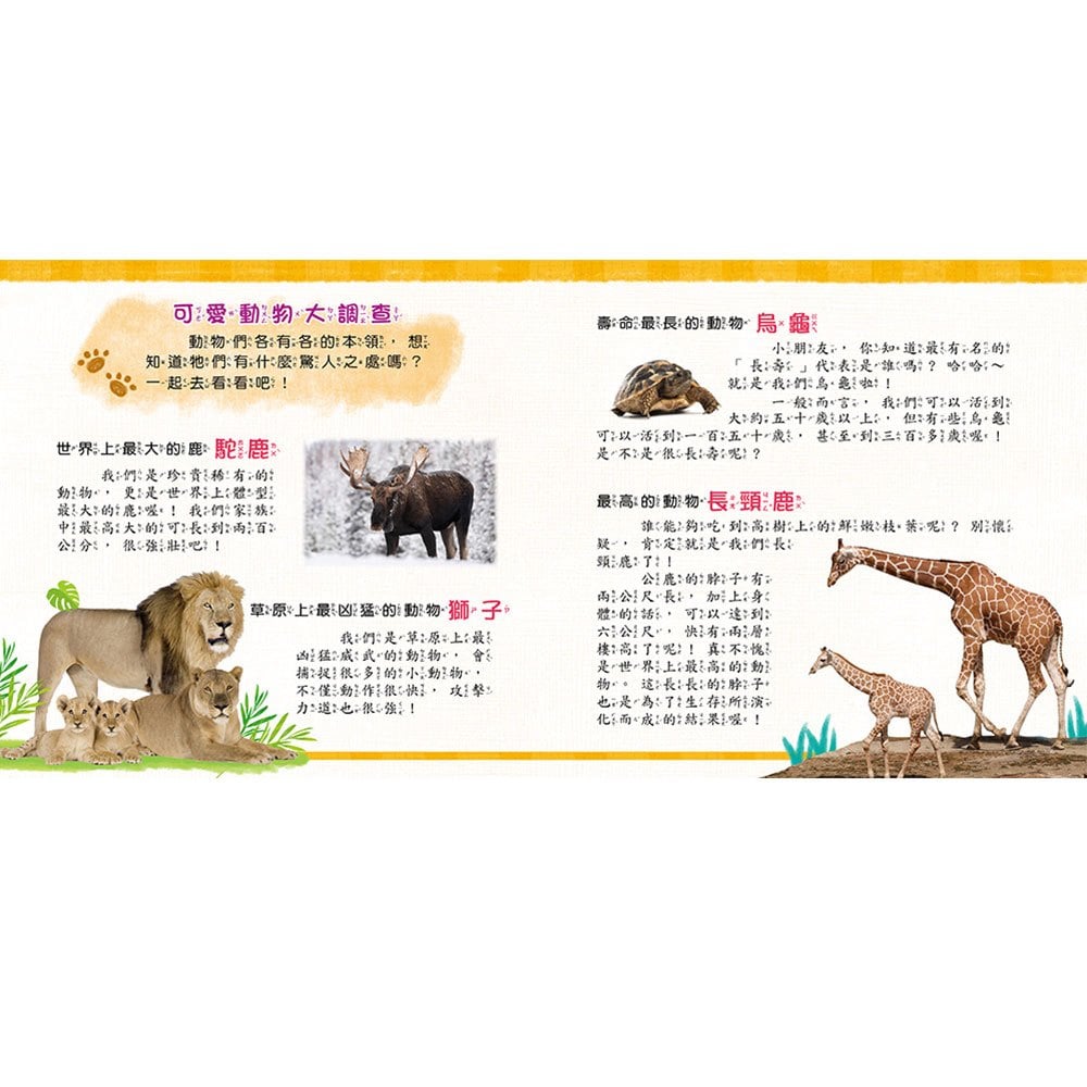 忍者兔魔法投影手電筒：奇妙動物百科圖鑑