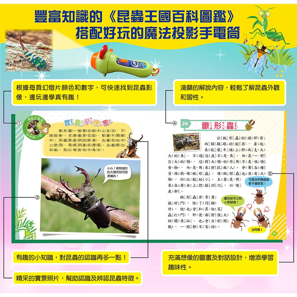 忍者兔魔法投影手電筒：昆蟲王國百科圖鑑【48張投影影像，帶你認識各種奇妙有趣的昆蟲！】