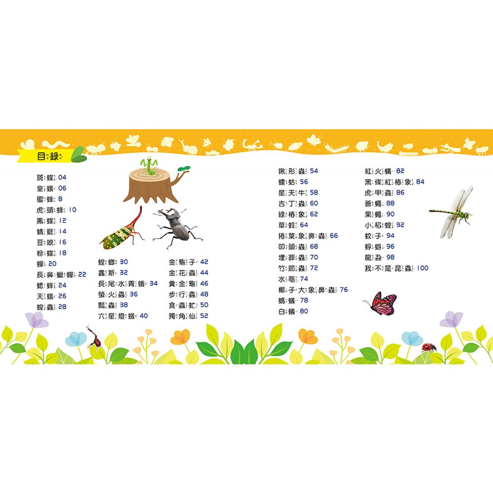 忍者兔魔法投影手電筒：昆蟲王國百科圖鑑【48張投影影像，帶你認識各種奇妙有趣的昆蟲！】