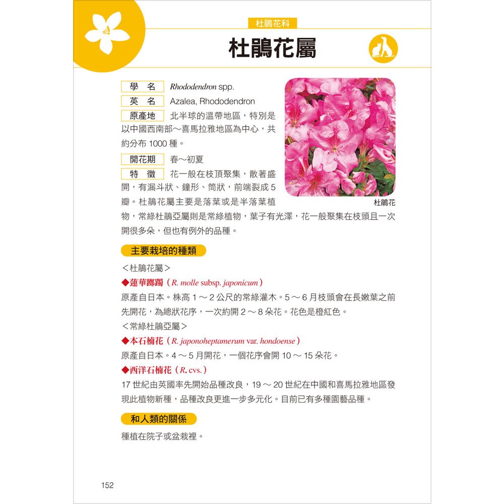 高注意！生活中常見有毒植物全圖鑑