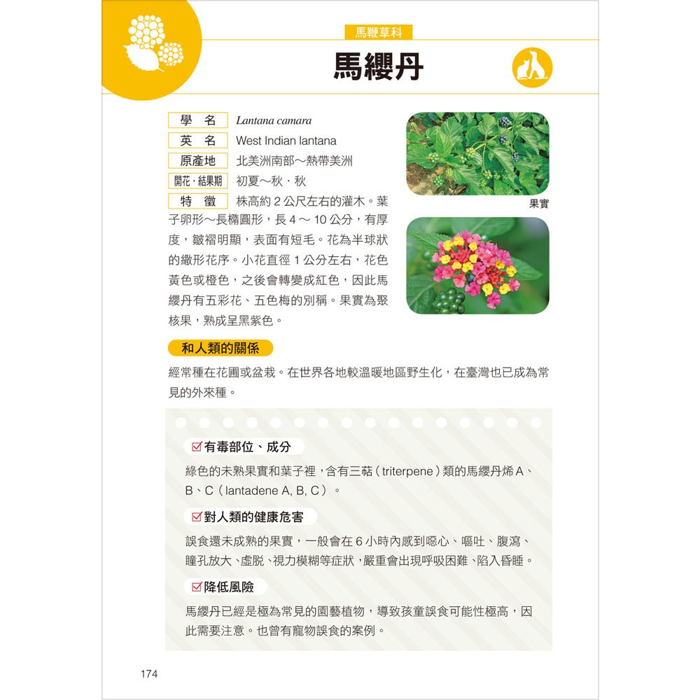 高注意！生活中常見有毒植物全圖鑑