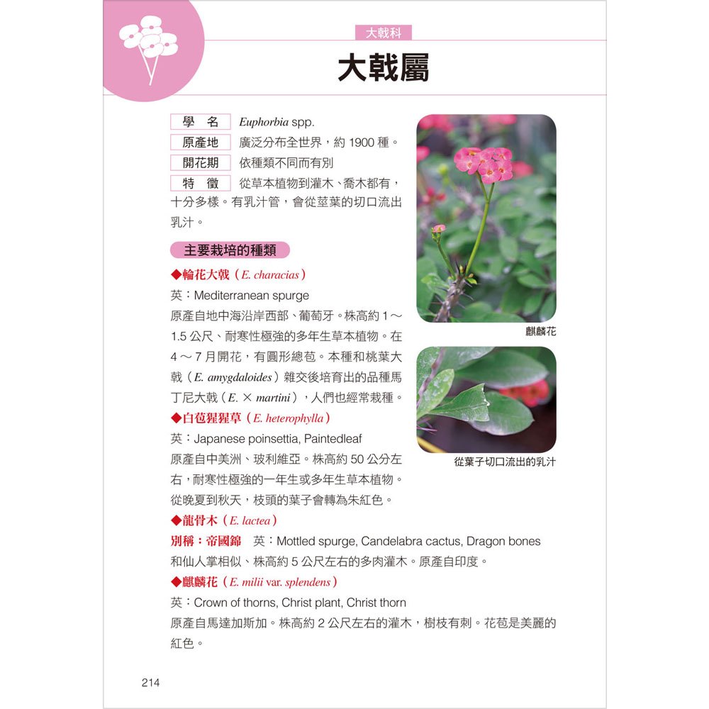 高注意！生活中常見有毒植物全圖鑑