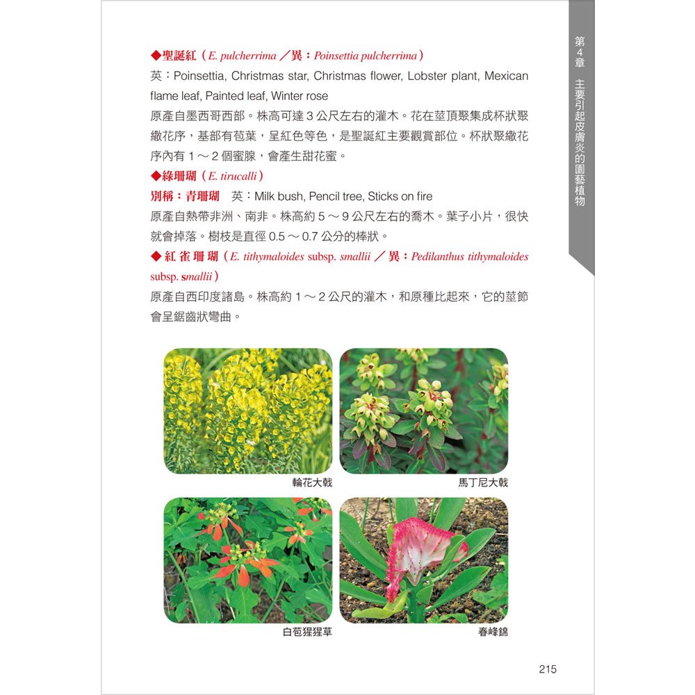 高注意！生活中常見有毒植物全圖鑑