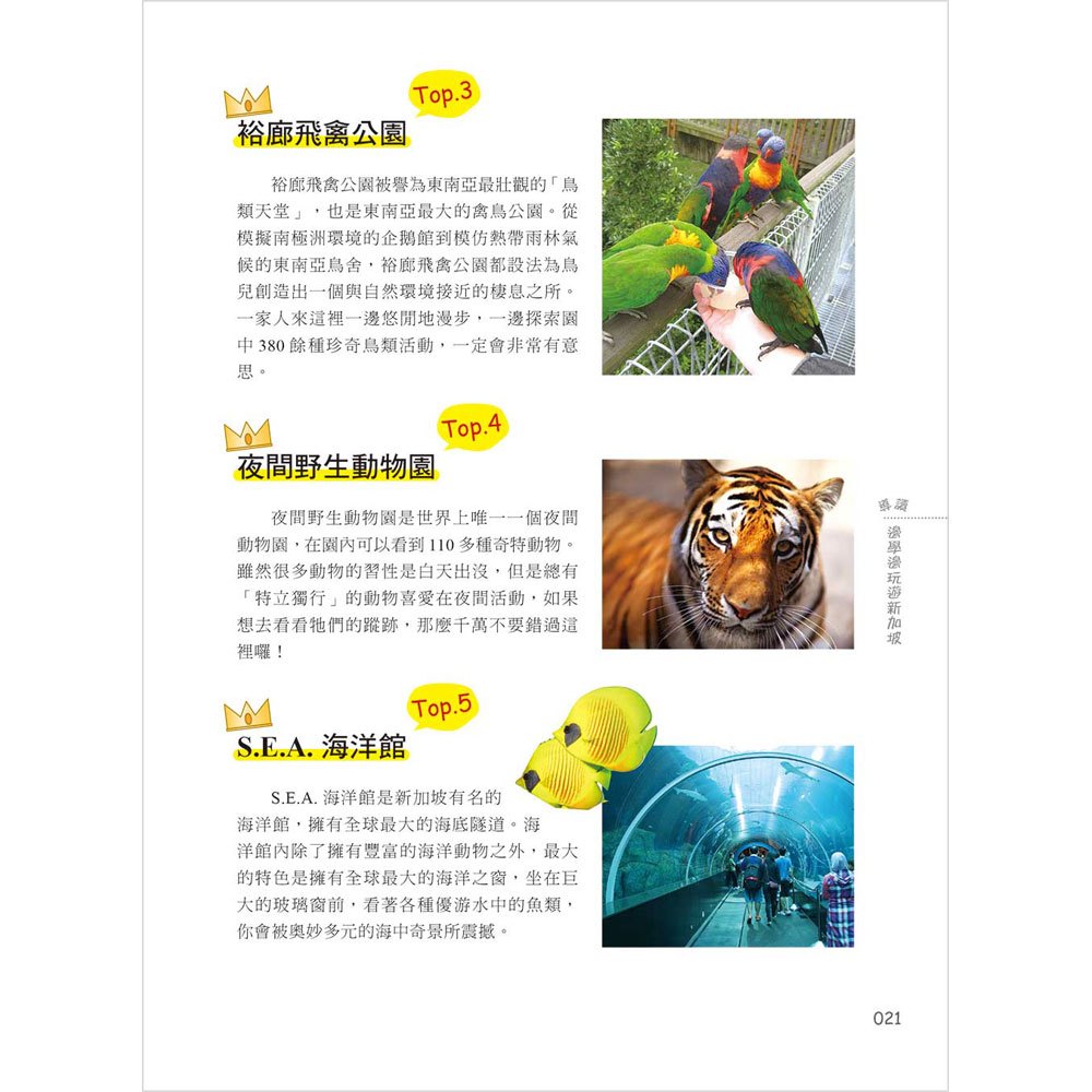 大手牽小手!全家玩遍新加坡