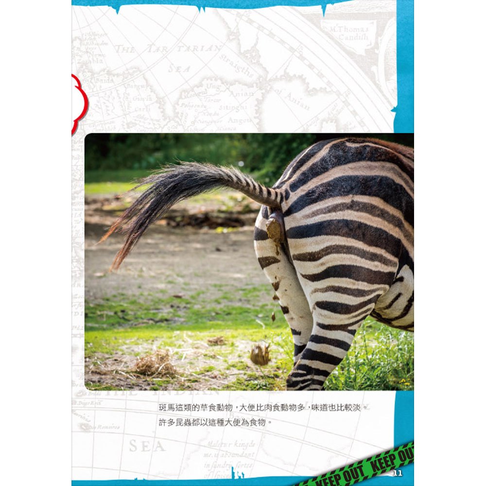 好臭！大便！不可思議動物圖鑑