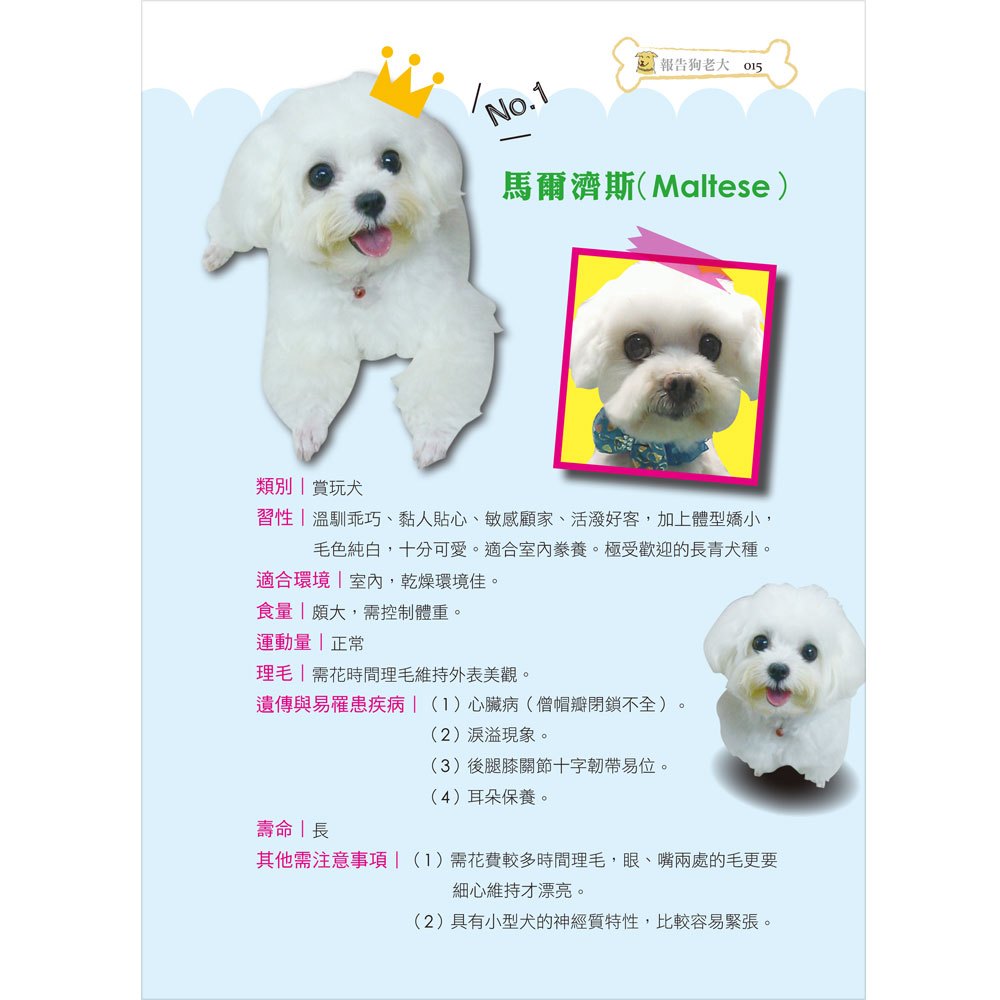 報告狗老大