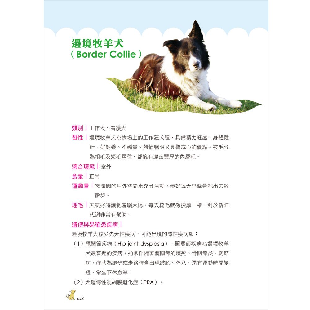 報告狗老大