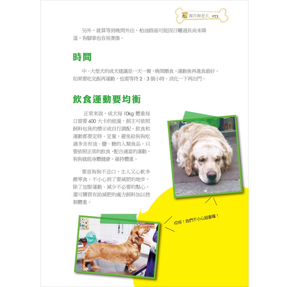 報告狗老大