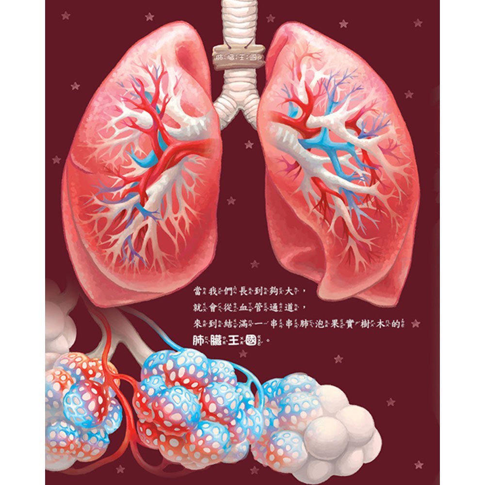 心臟噗通噗通：血液的身體大冒險