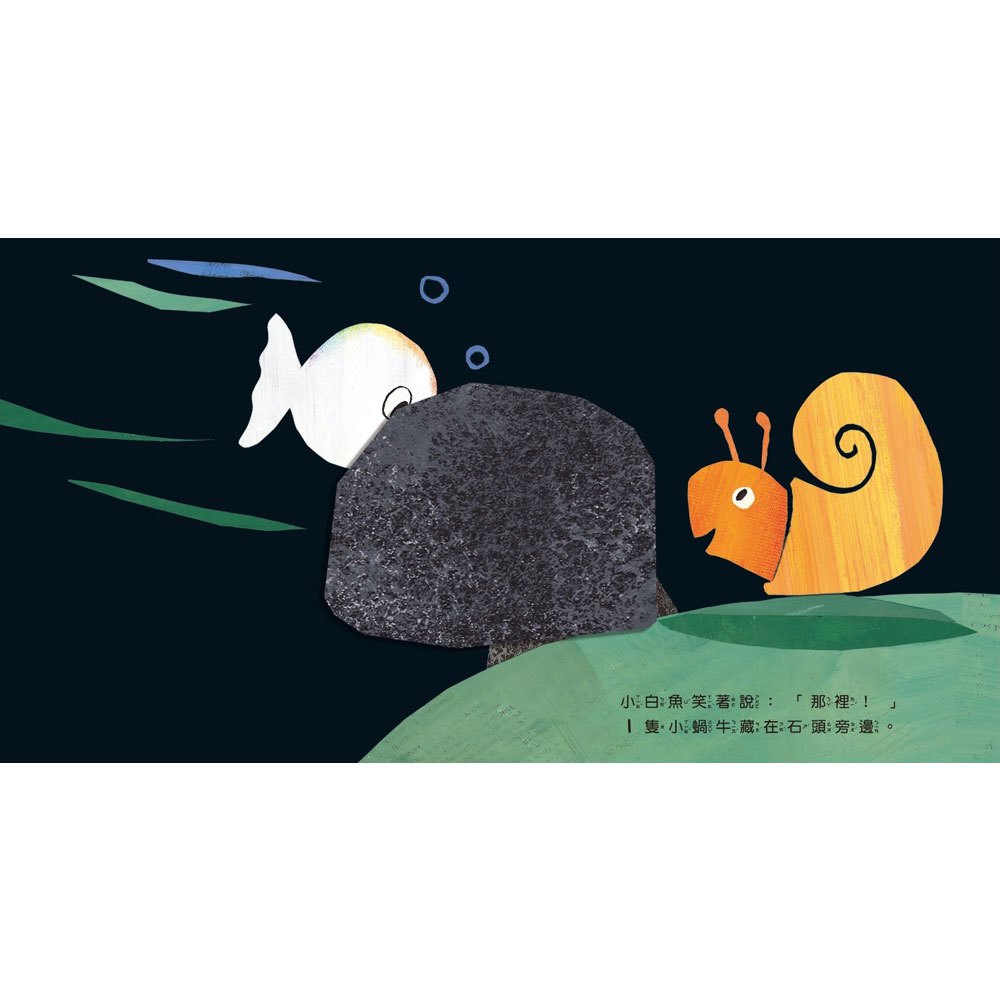 小白魚玩躲貓貓