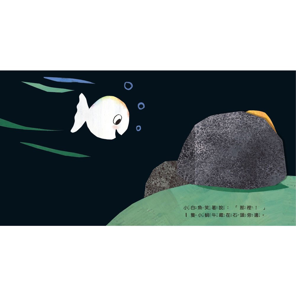 小白魚玩躲貓貓