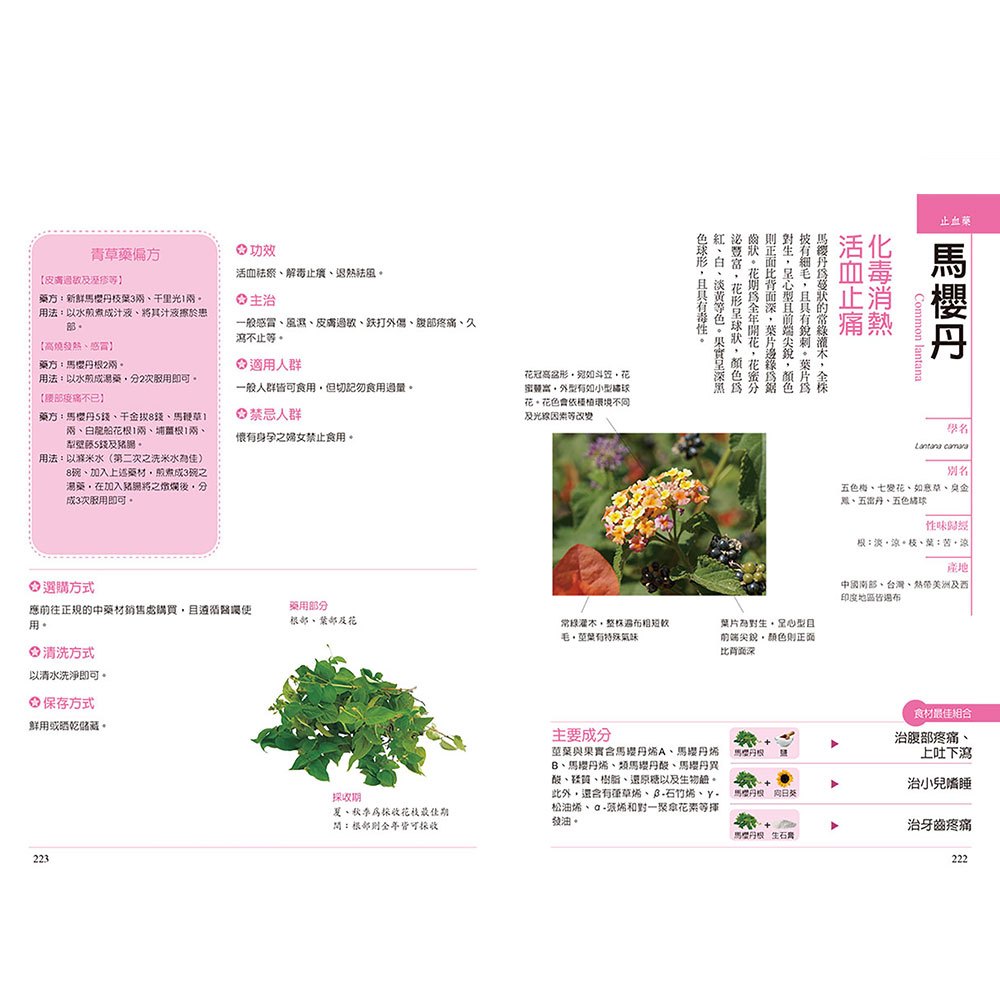 史上最強青草藥漢方完整圖鑑：從選購、保存、功效到料理，各種症狀都能對症下藥！