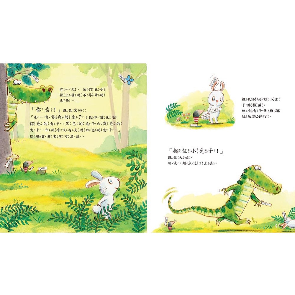 不聽警告的鱷魚