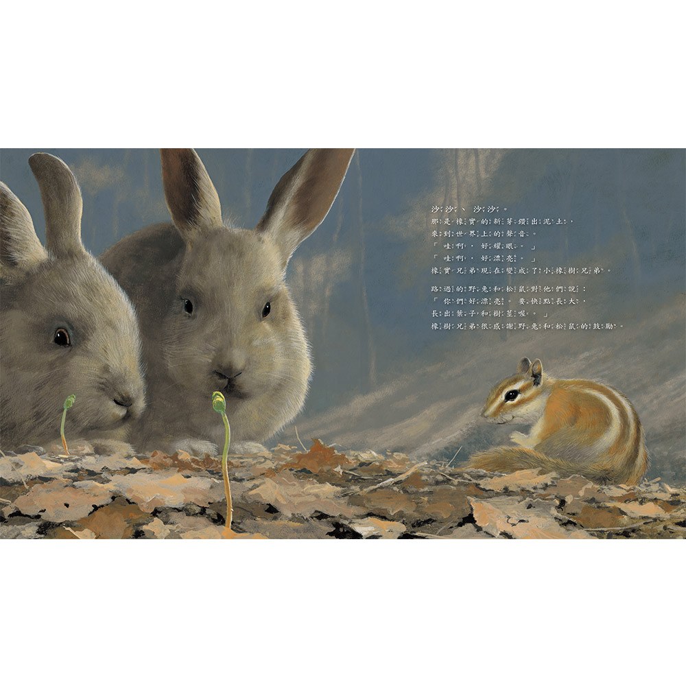 相親相愛的兄弟樹