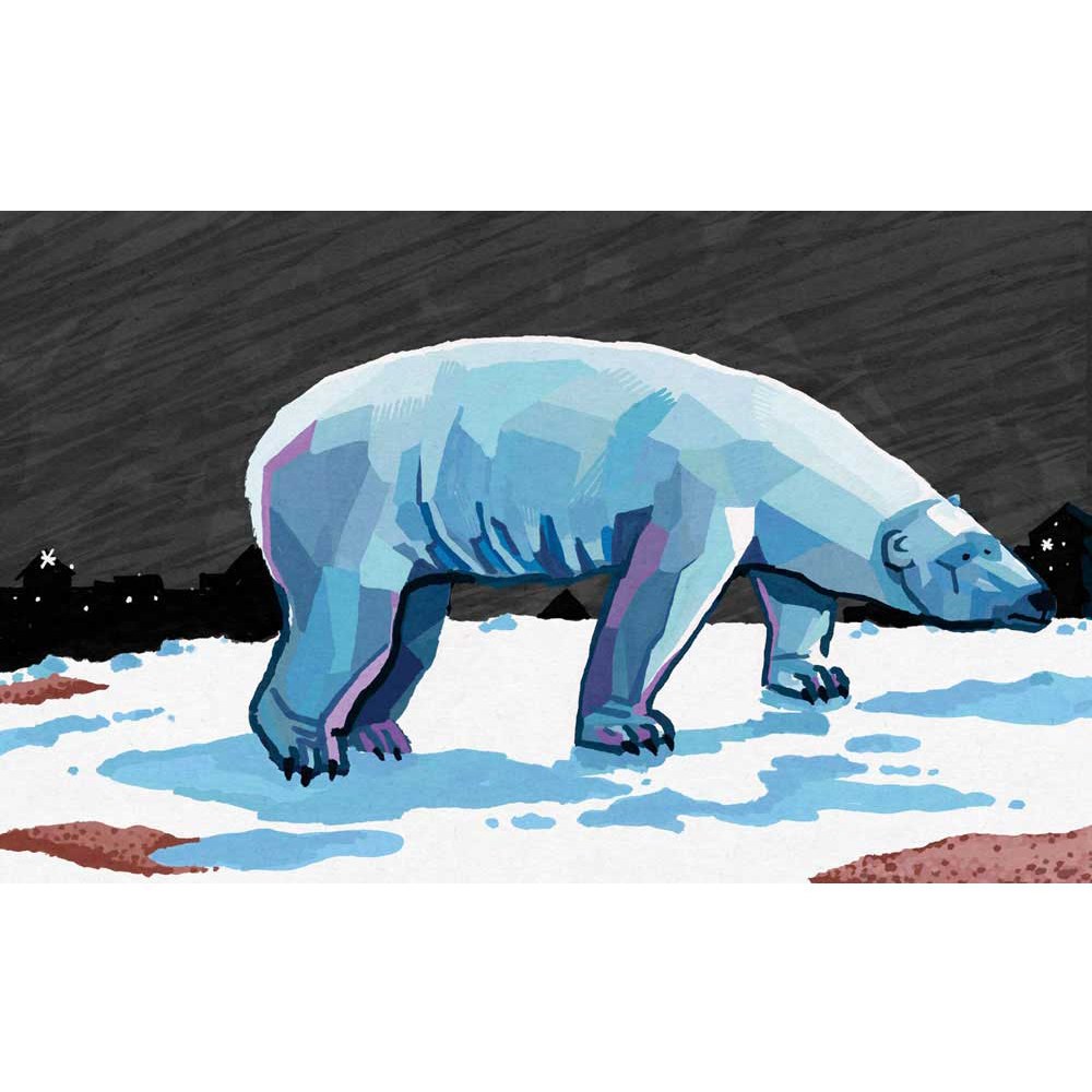 北極熊的遭遇,會輪到我嗎?