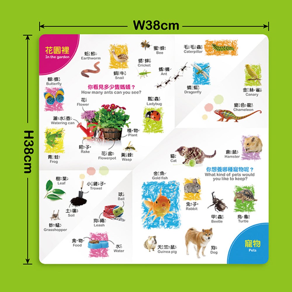 開展大圖學單字-動物世界