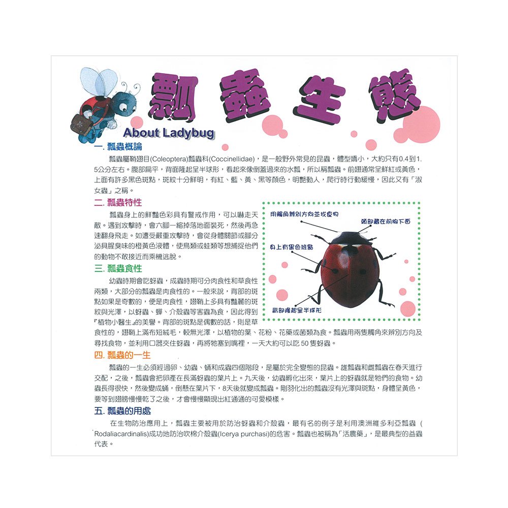 QQ象雙語繪本-小瓢蟲迷路了(附CD)