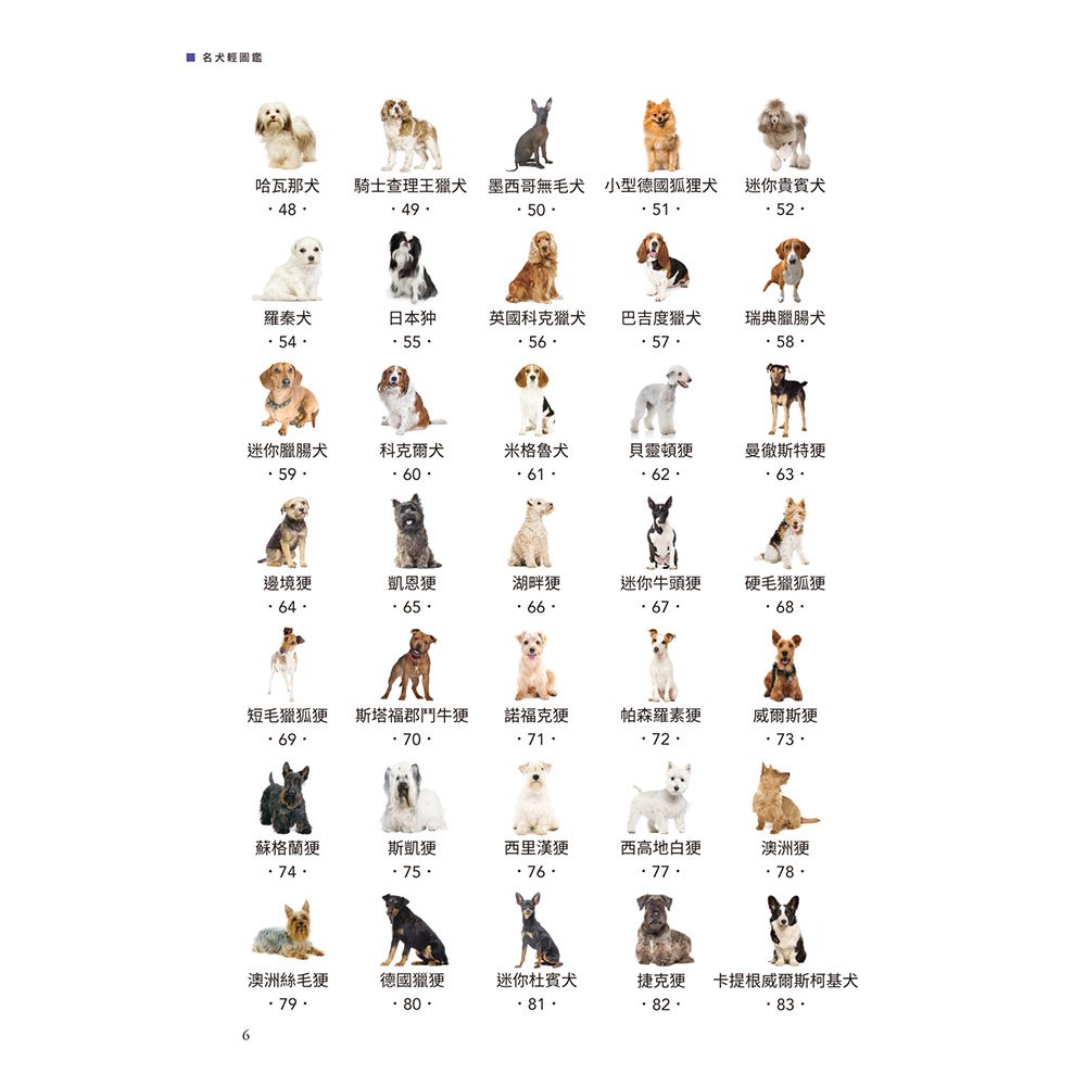 名犬輕圖鑑