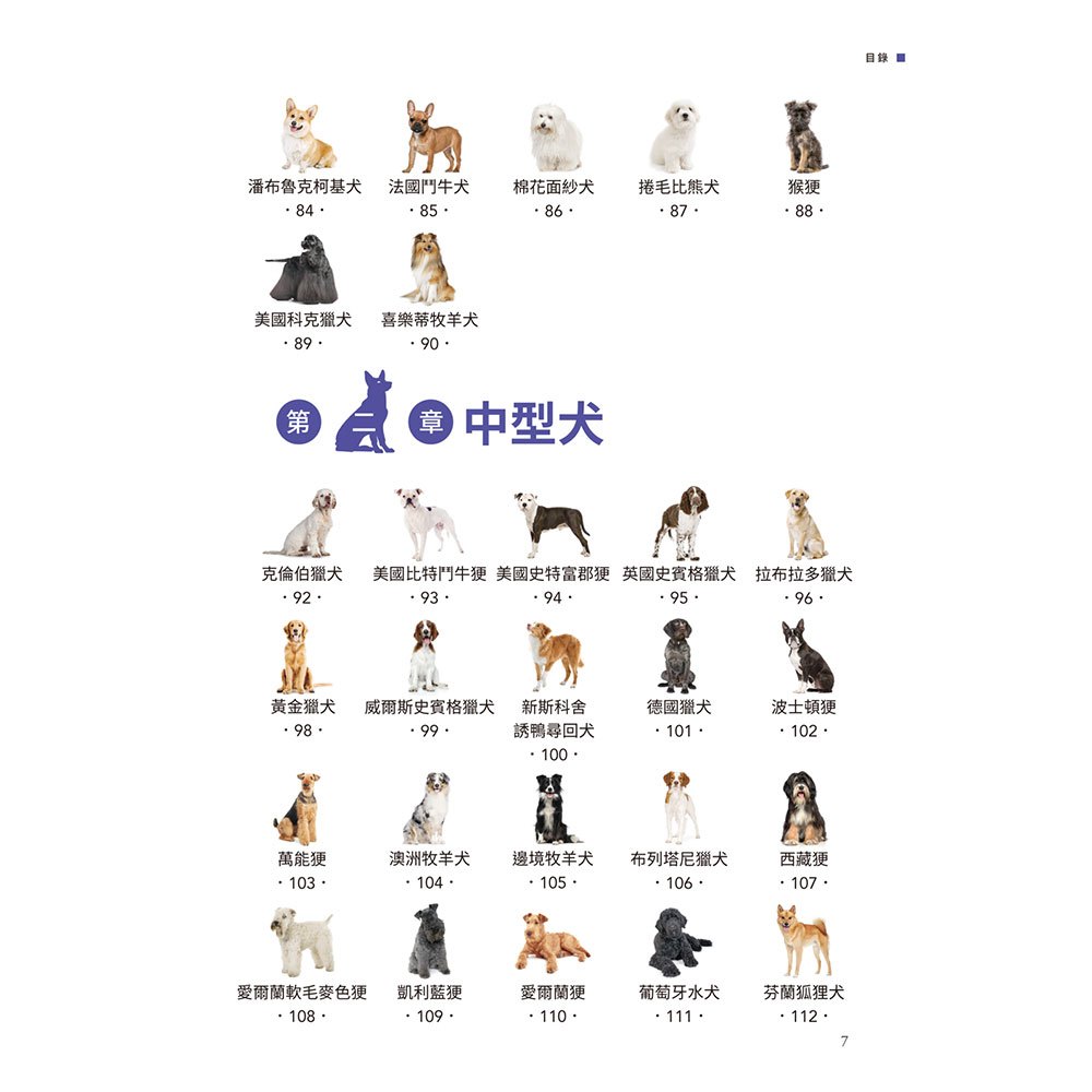 名犬輕圖鑑