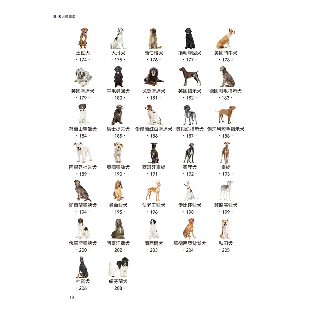 名犬輕圖鑑