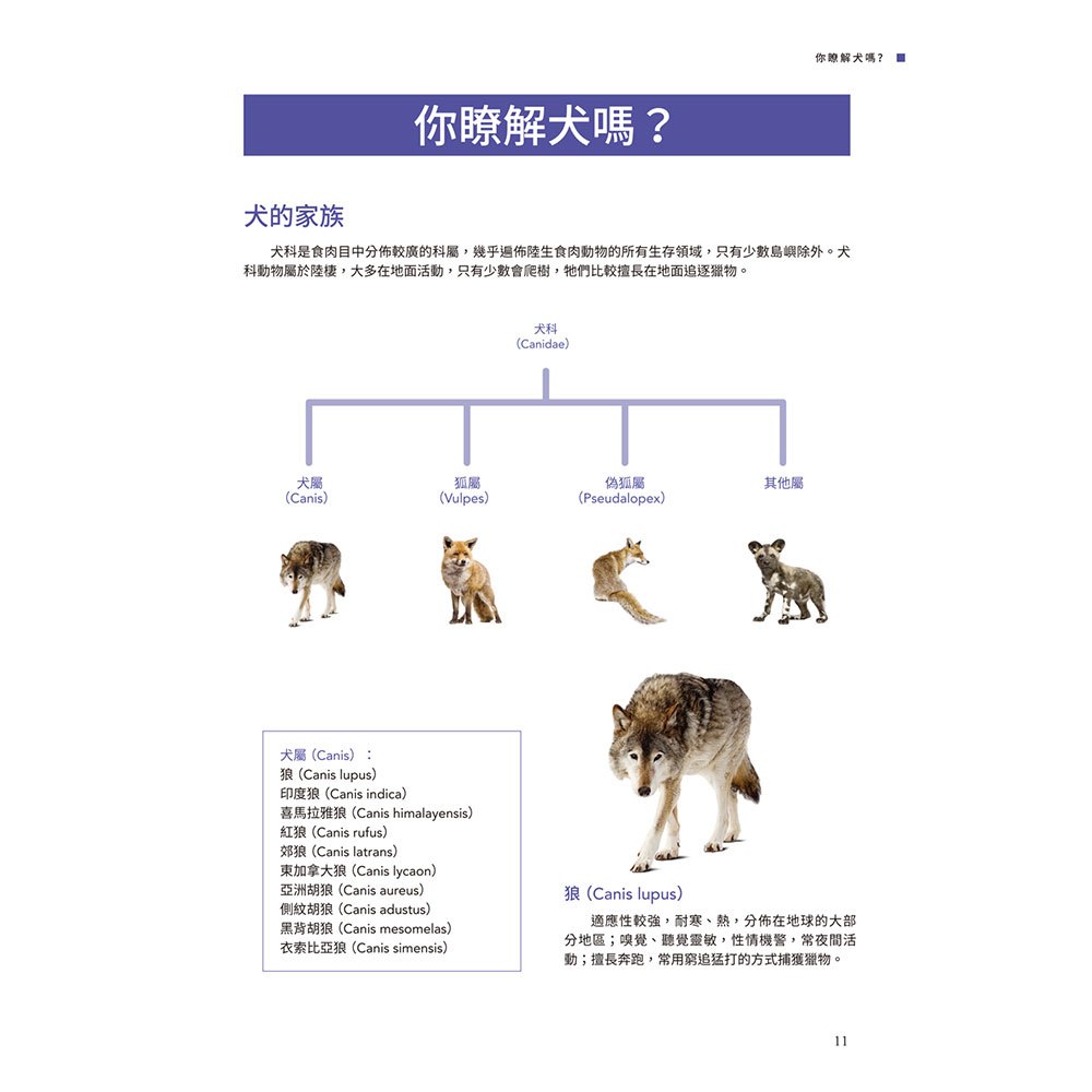 名犬輕圖鑑