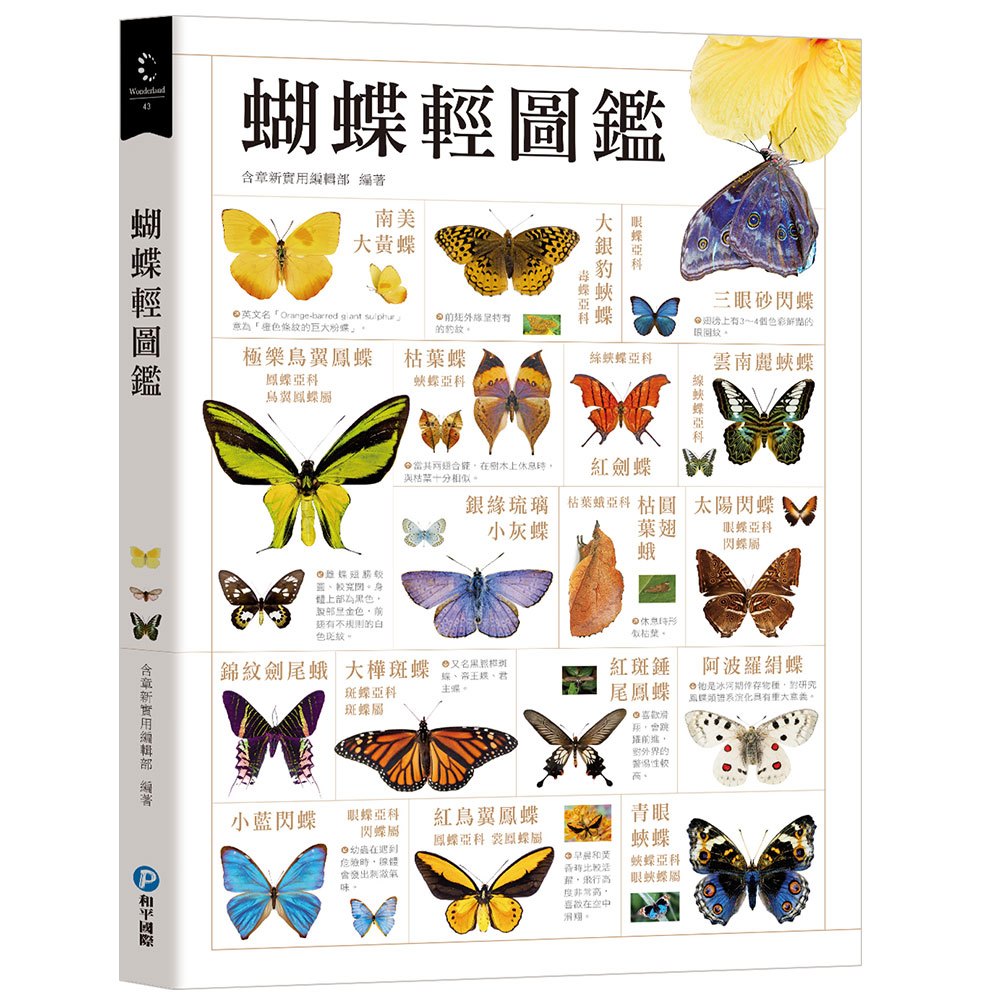 蝴蝶輕圖鑑