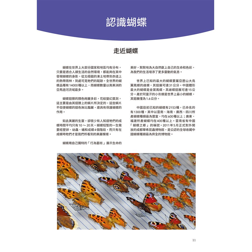 蝴蝶輕圖鑑