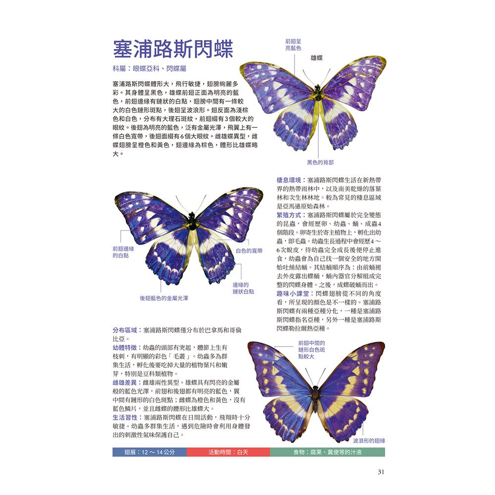 蝴蝶輕圖鑑