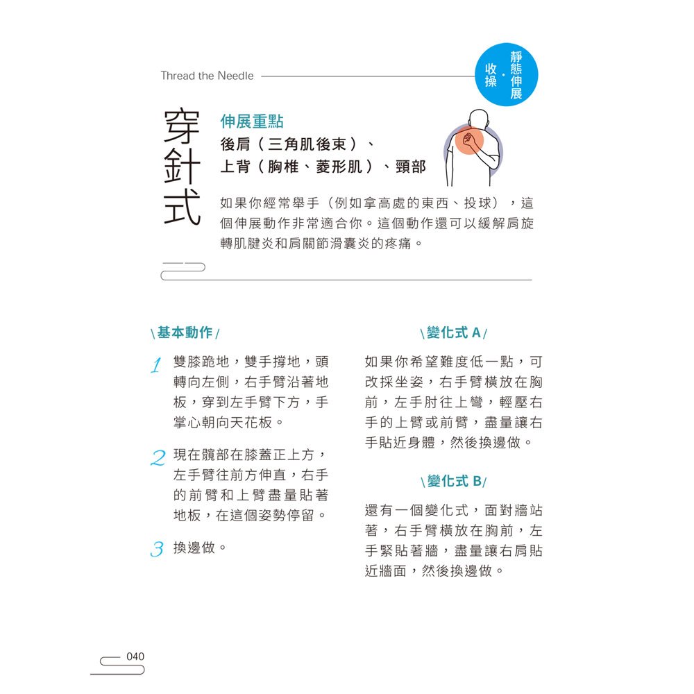 【多環伸展帶套組】輕鬆筋骨,中高年級生的全套肌力伸展動作