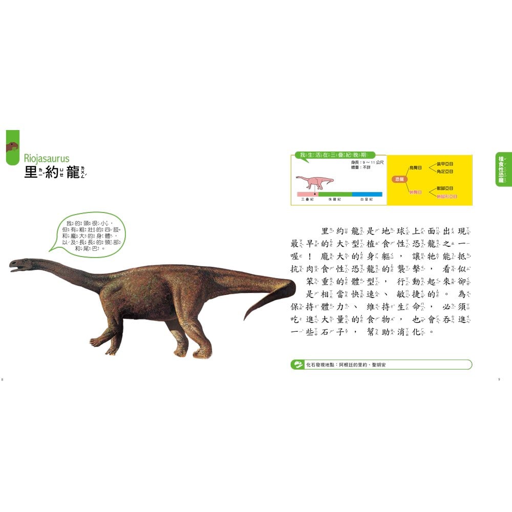 STEAM圖鑑小百科:動物