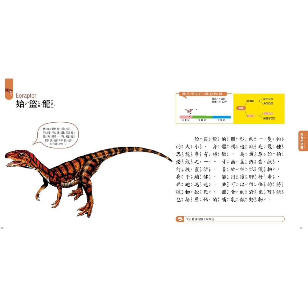 STEAM圖鑑小百科:動物