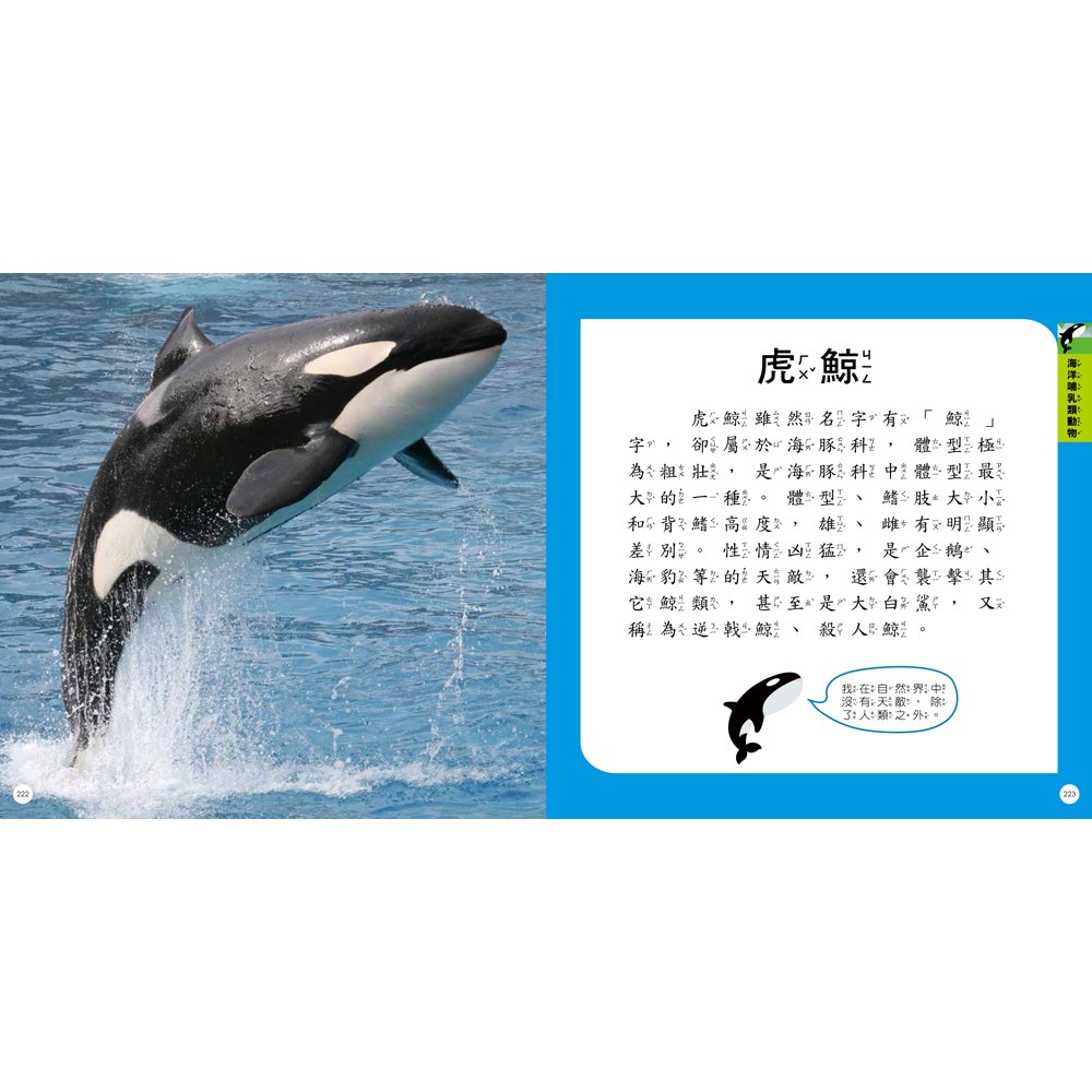 STEAM圖鑑小百科:動物