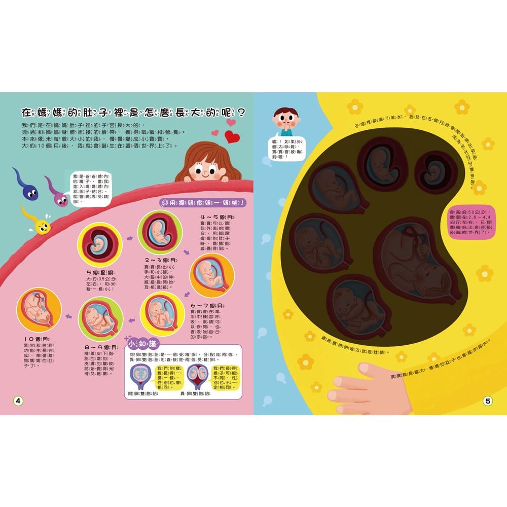 探照燈找一找:透視身體大解密