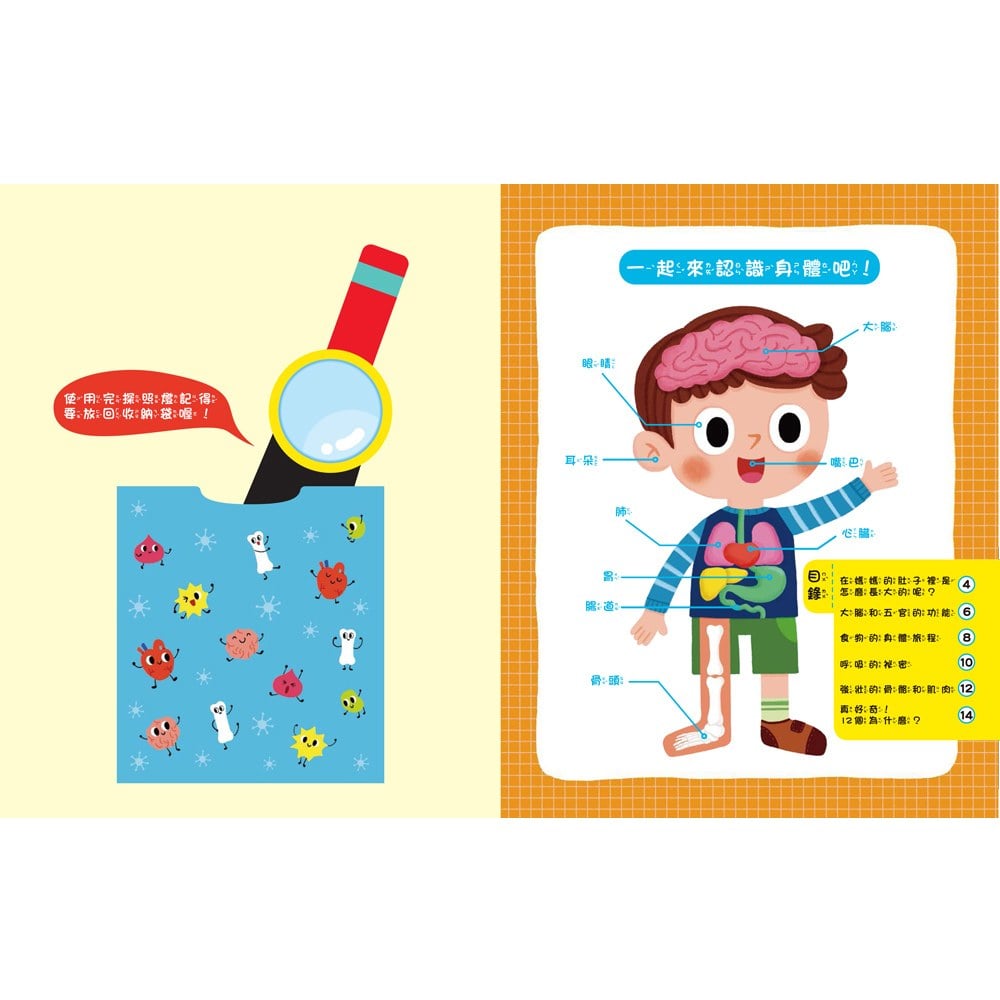 探照燈找一找:透視身體大解密