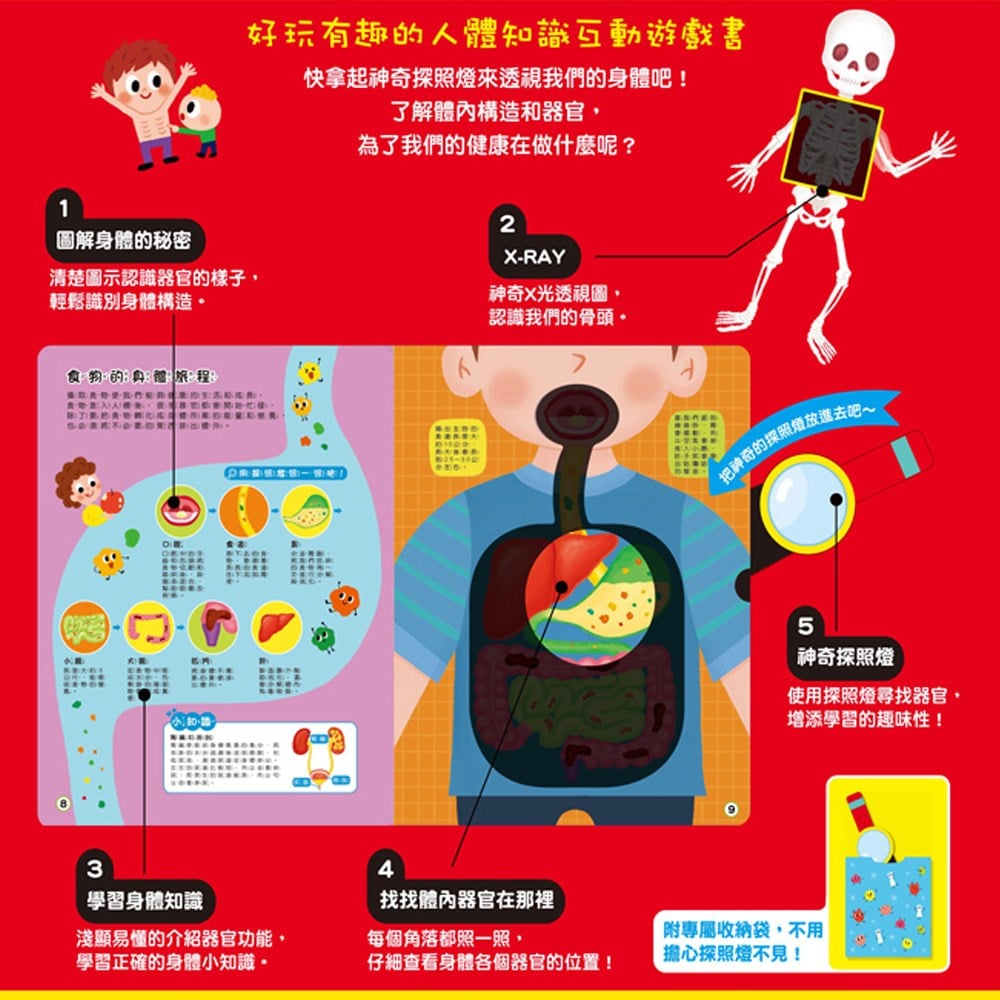 探照燈找一找:透視身體大解密