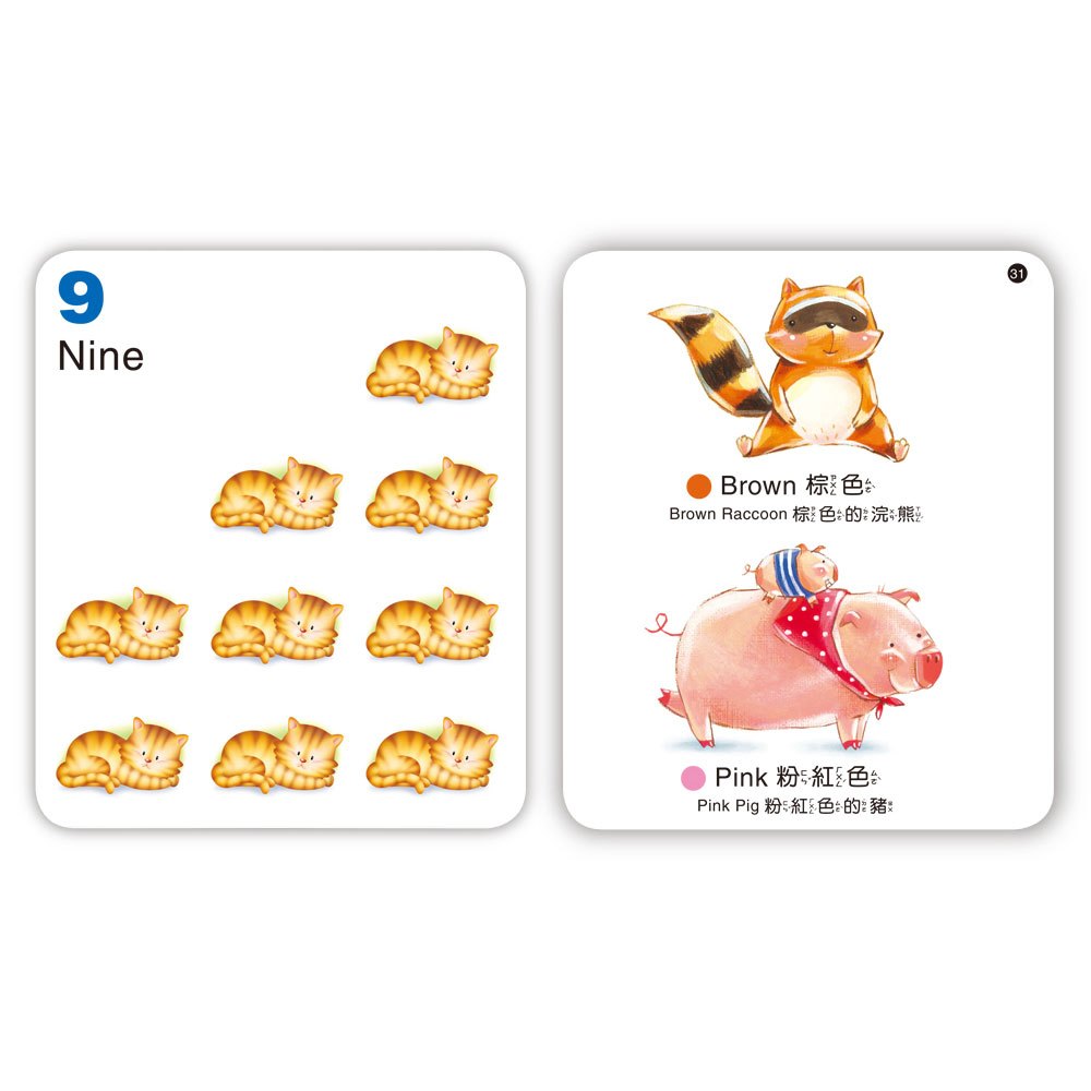 幼兒啟蒙３合１學習字卡