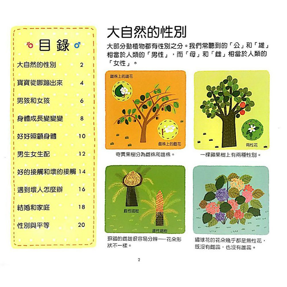 性別常識互動遊戲書
