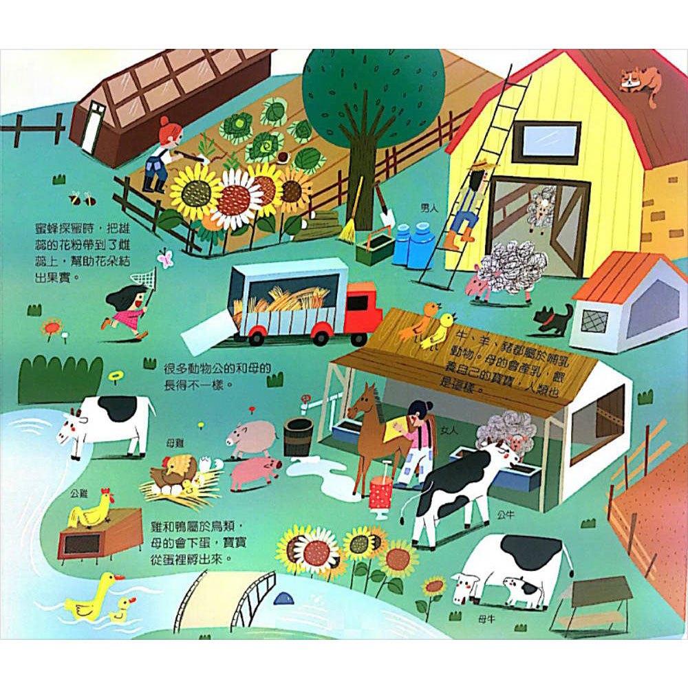 性別常識互動遊戲書