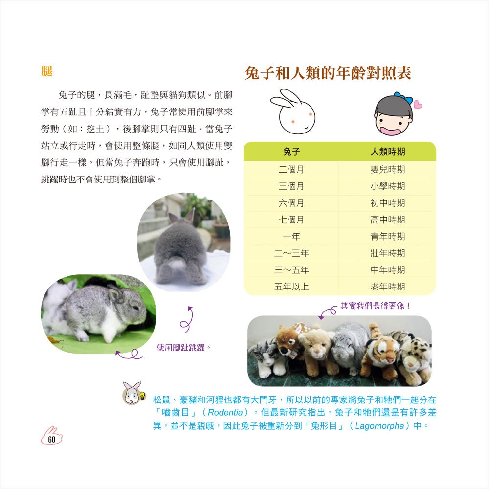 HAPPY 兔:淘氣兔寶貝生活全紀錄