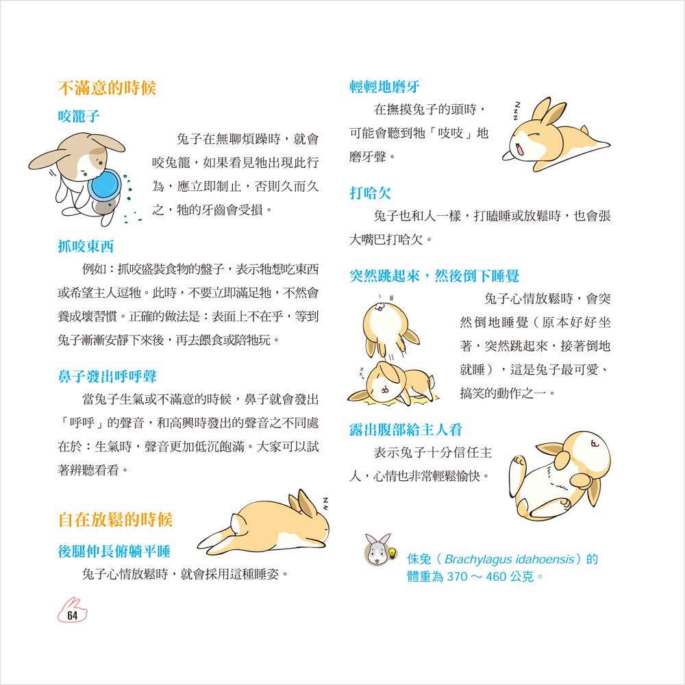 HAPPY 兔:淘氣兔寶貝生活全紀錄