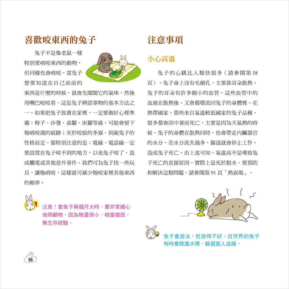 HAPPY 兔:淘氣兔寶貝生活全紀錄