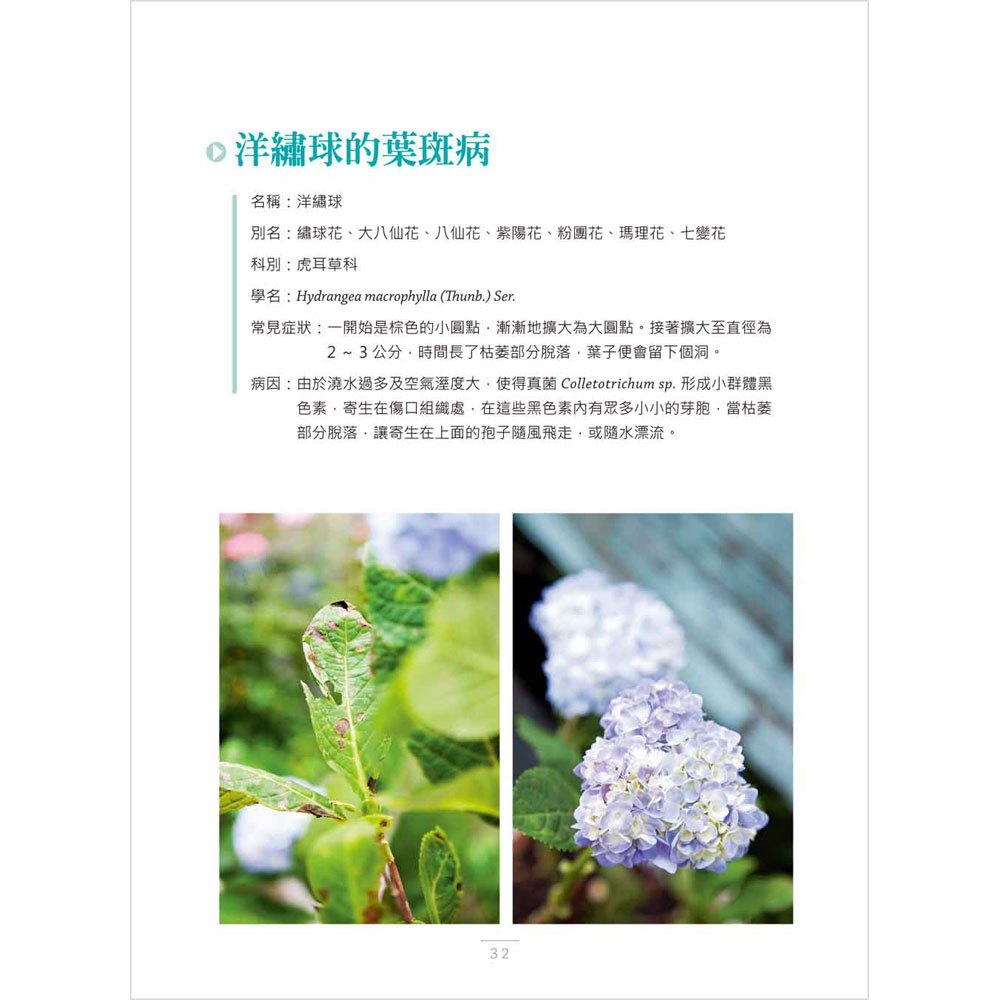 圖解花草急救SOS