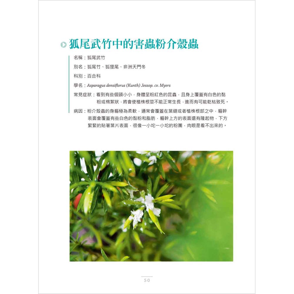 圖解花草急救SOS