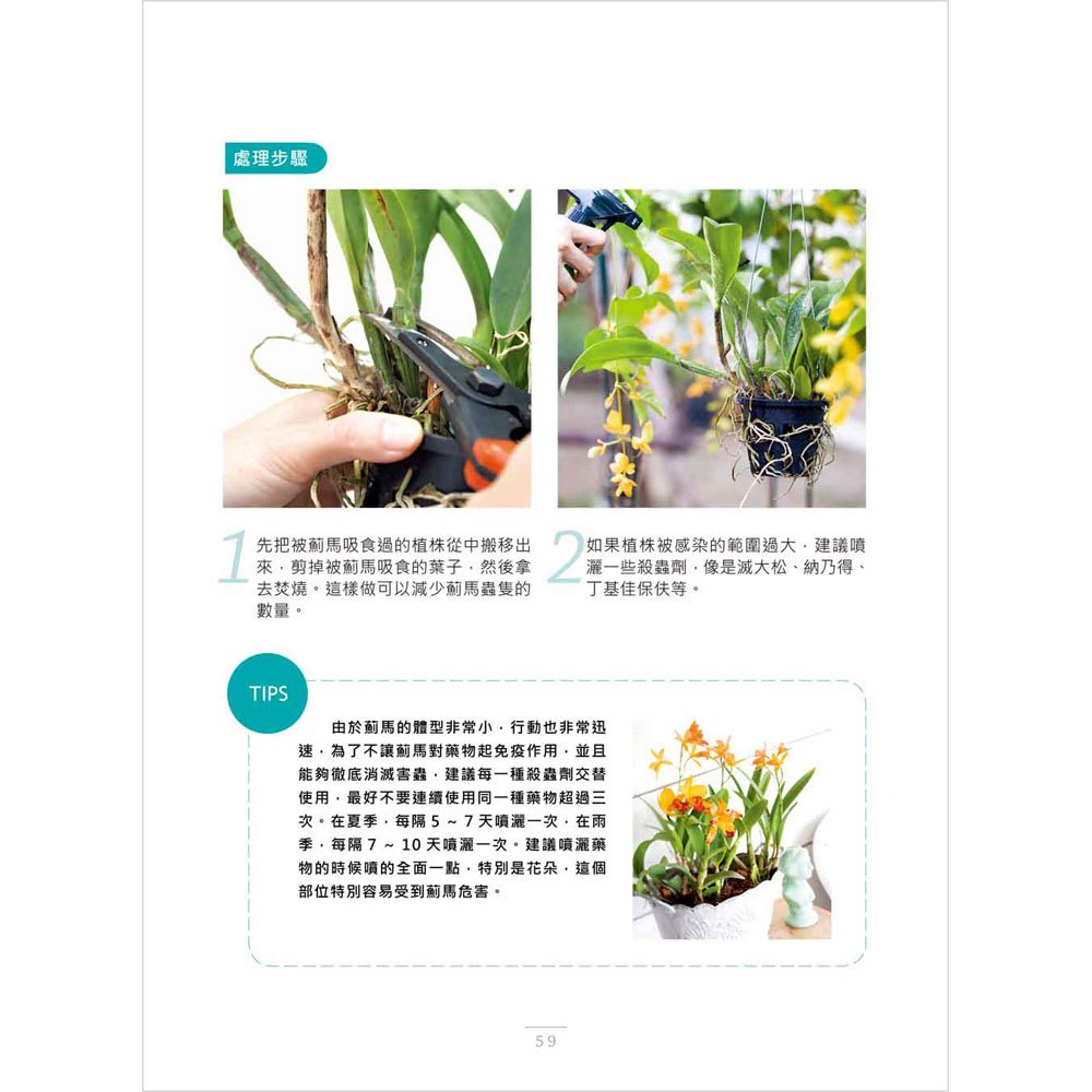 圖解花草急救SOS