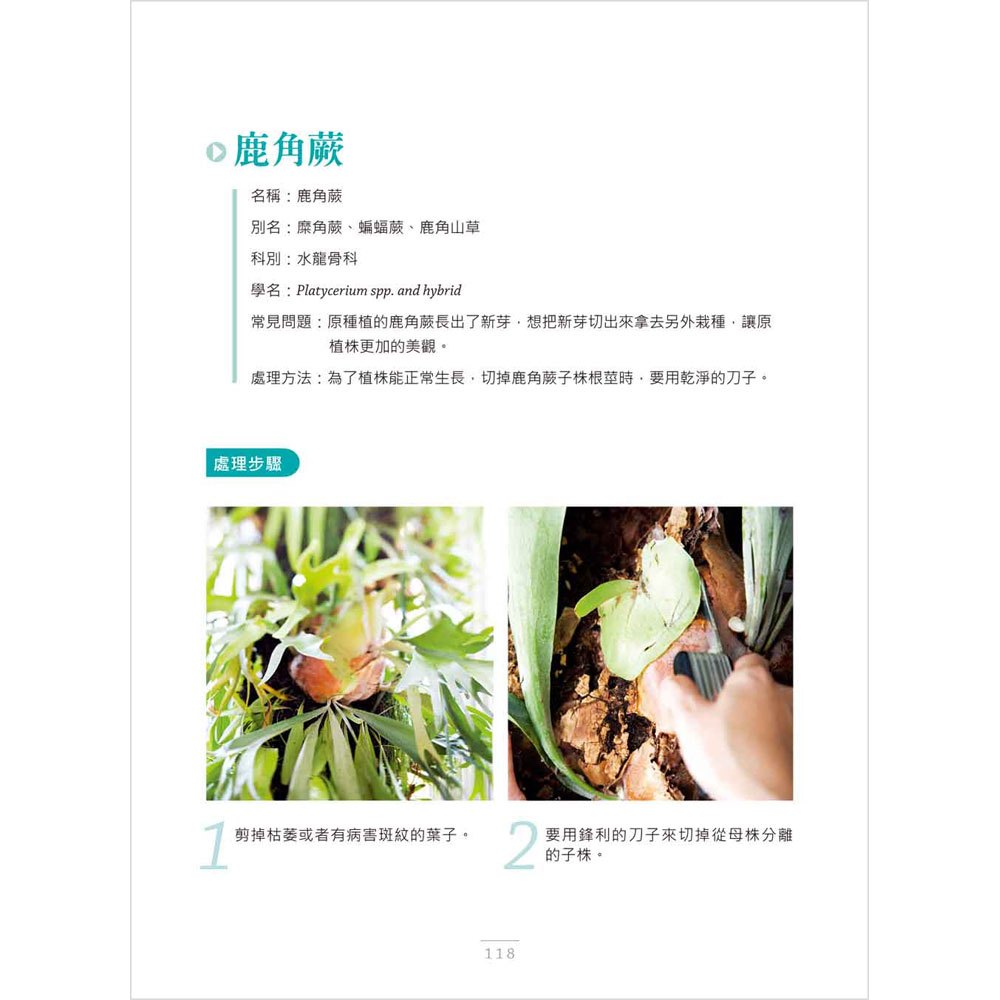 圖解花草急救SOS