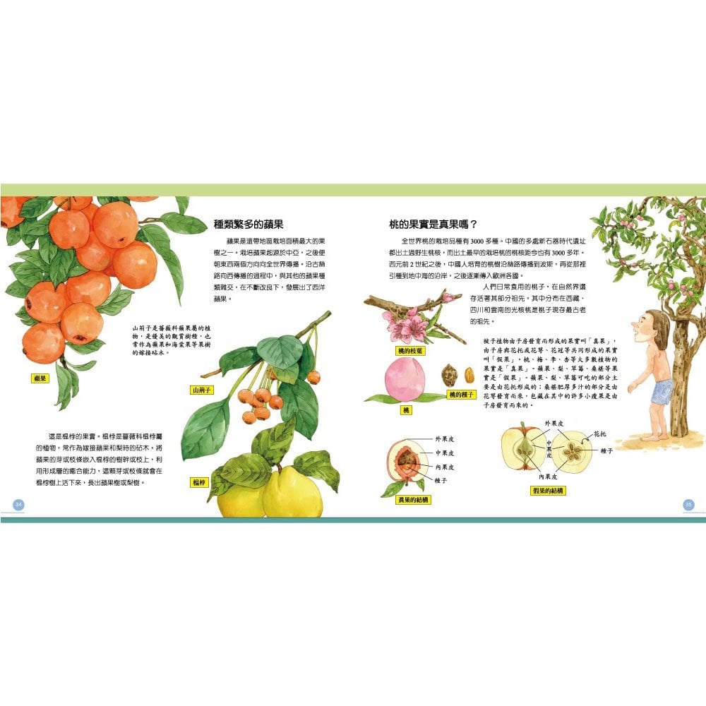 我的第一本植物演化圖鑑7人與植物的共生