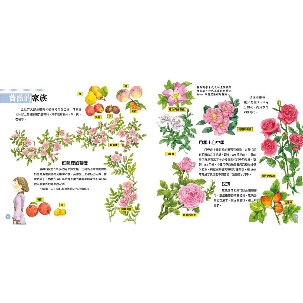 我的第一本植物演化圖鑑7人與植物的共生 168幼福童書網 我的第一本植物演化圖鑑7人與植物的共生 168幼福童書網
