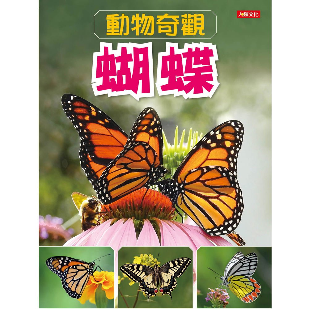 動物奇觀:蝴蝶