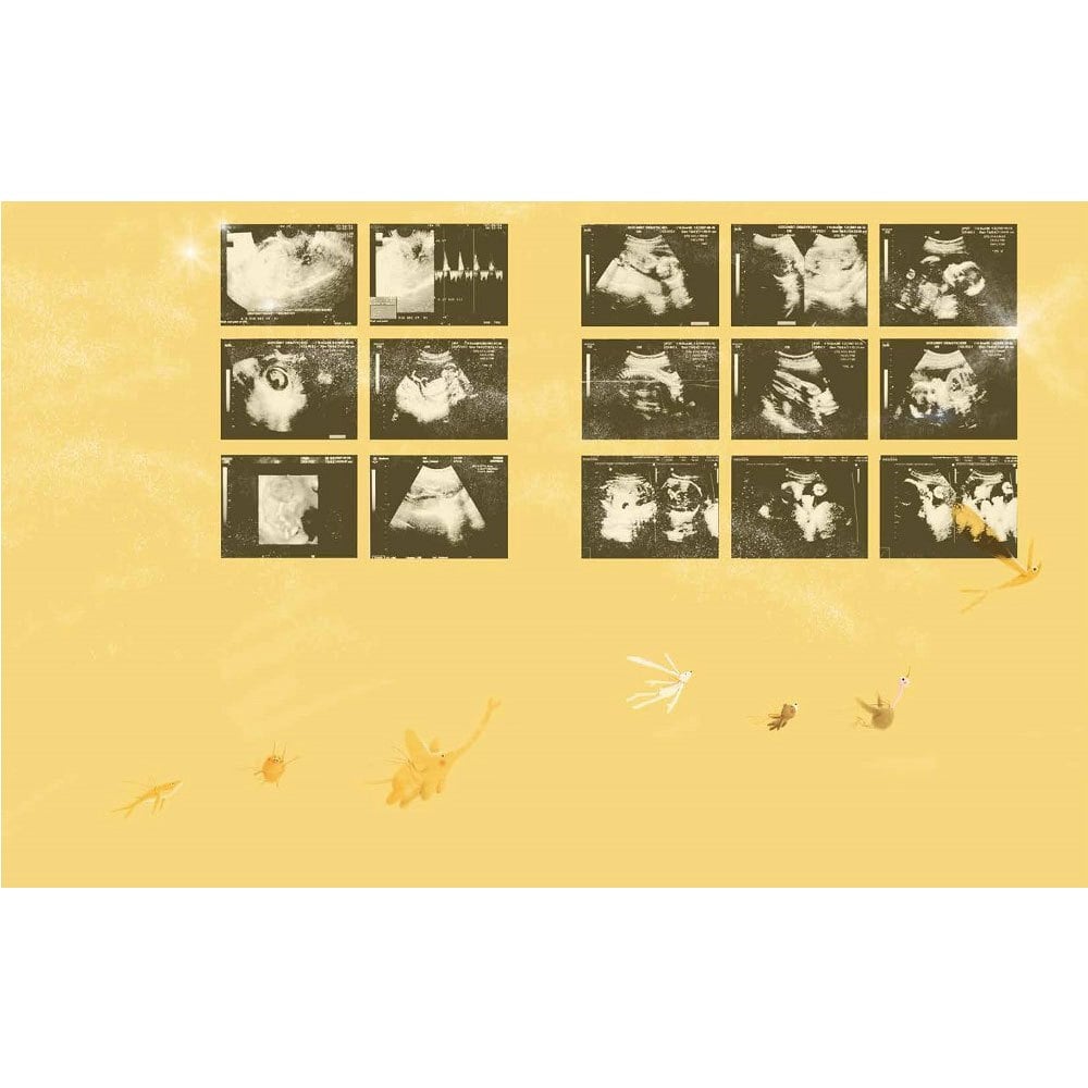 小寶貝，當我遇見你